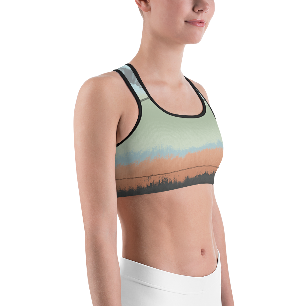 CRXWN | Drip Or Dye SB High Spectrum Easter Ombre Sports Bra Venice Beach Vibez