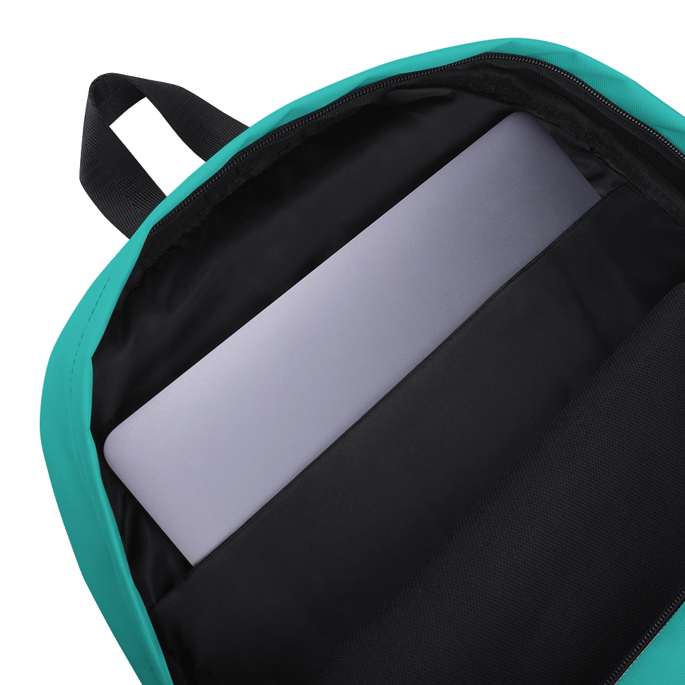 ROYAL. | Urban Resort Ra Pack Lightweight Backpack with hidden Pocket Magik Teal Zebra